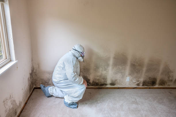 Best Industrial Mold Remediation in Pendleton, IN
